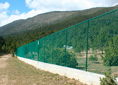 Tauro Querétaro S.A de C.V.